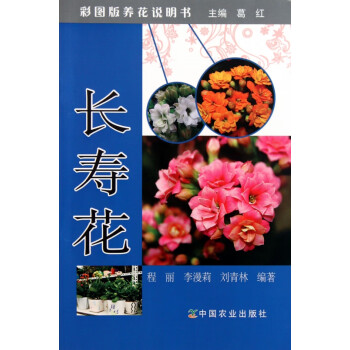 長壽花 長壽花