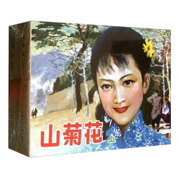 山菊花 山菊花