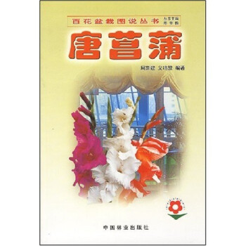 唐菖蒲 唐菖蒲