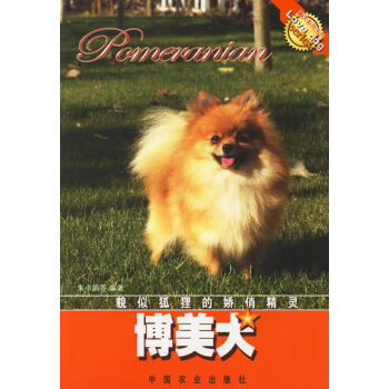 博美犬 博美犬