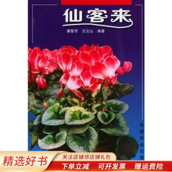 仙客來 仙客來