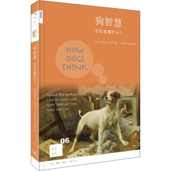 狗智慧 狗智慧