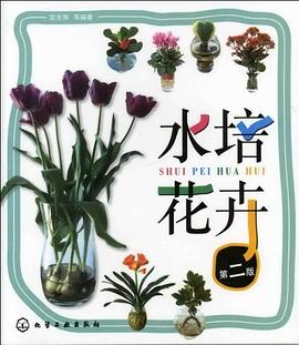 水培花卉 水培花卉