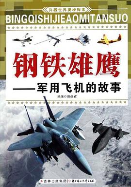 鋼鐵雄鷹 鋼鐵雄鷹