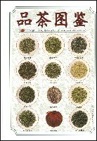 品茶圖鑒 品茶圖鑒
