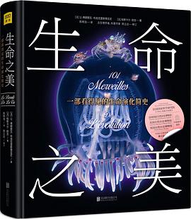 生命之美 生命之美