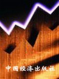 政府轉型 政府轉型
