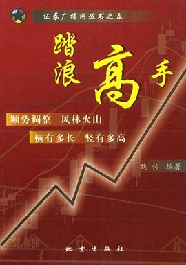 踏浪高手 踏浪高手