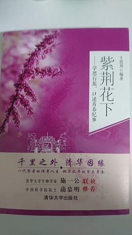 紫荊花下