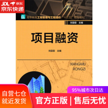 項目融資 項目融資