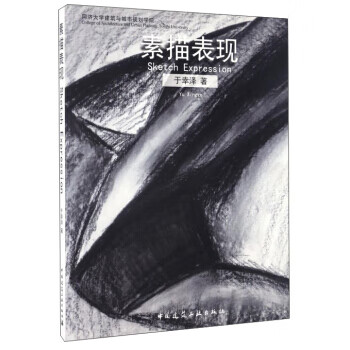 素描表現(xiàn) 素描表現(xiàn)