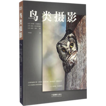 鳥類攝影 鳥類攝影