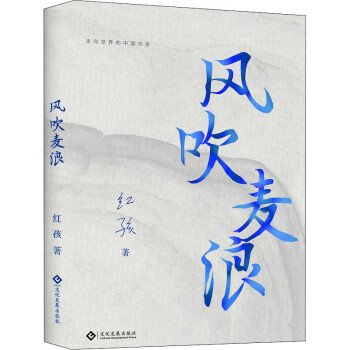 風(fēng)吹麥浪 風(fēng)吹麥浪