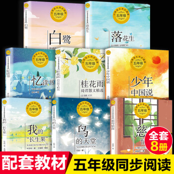 慈母情深 慈母情深