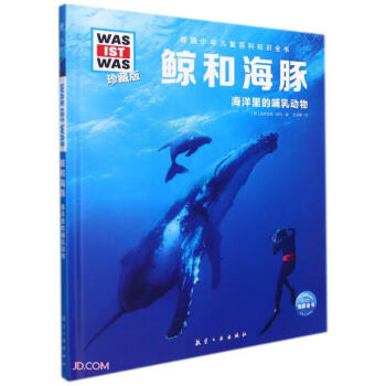 鯨和海豚 鯨和海豚