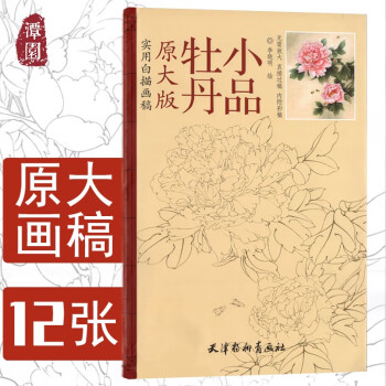 牡丹小品 牡丹小品