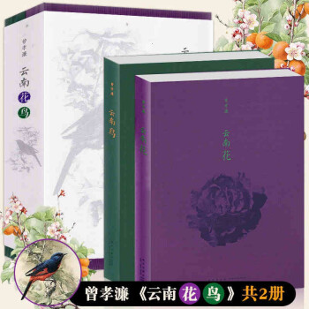 云南花鳥