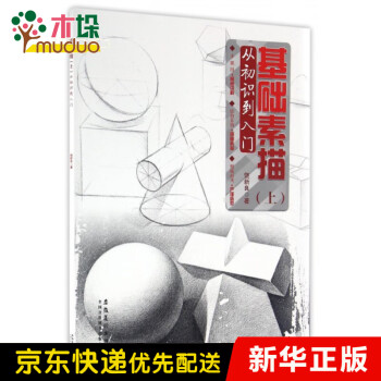 基礎(chǔ)素描 基礎(chǔ)素描