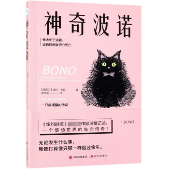 神奇波諾 神奇波諾