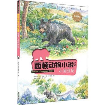 小熊焦尼 小熊焦尼