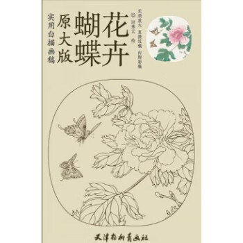 蝴蝶花卉 蝴蝶花卉