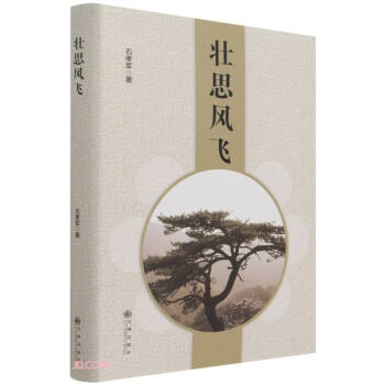 壯思風(fēng)飛 壯思風(fēng)飛