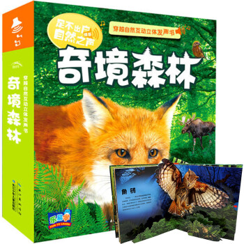 奇境森林 奇境森林