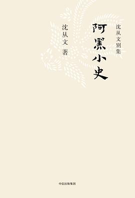 阿黑小史 阿黑小史