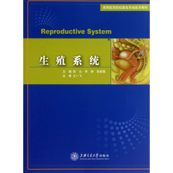 生殖系統 生殖系統