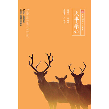 大豐麋鹿 大豐麋鹿