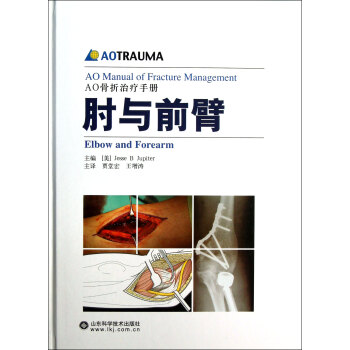 肘與前臂 肘與前臂