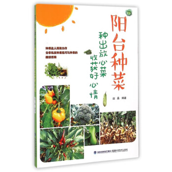 陽臺種菜 陽臺種菜