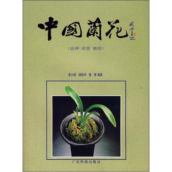 中國蘭花 中國蘭花