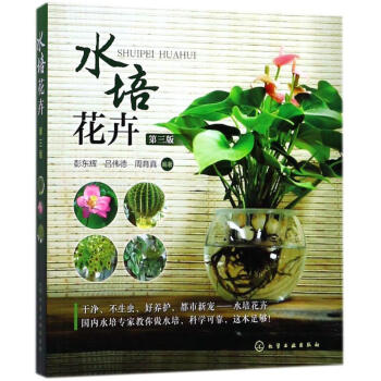 水培花卉 水培花卉