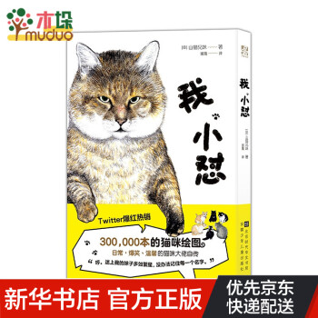 我，小懟