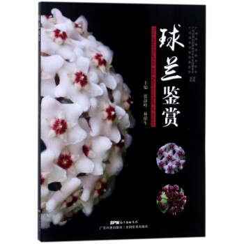 球蘭鑒賞 球蘭鑒賞