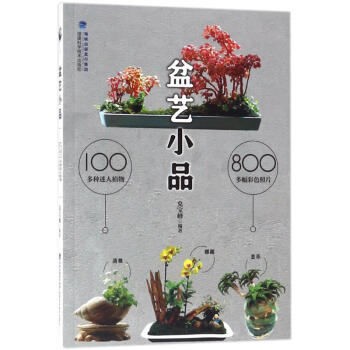 盆藝小品 盆藝小品