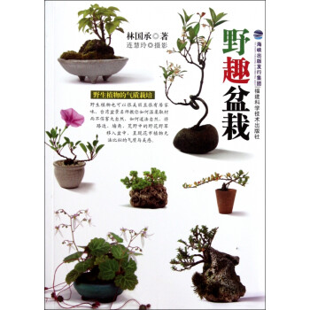 野趣盆栽 野趣盆栽
