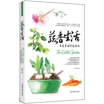 陽臺種菜 陽臺種菜