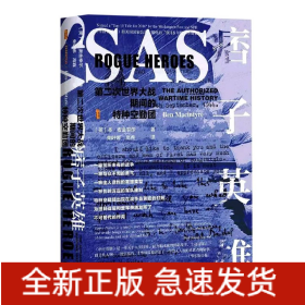 痞子英雄 痞子英雄