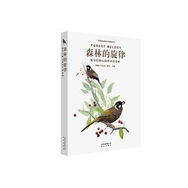 森林的旋律 森林的旋律