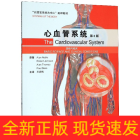 心血管系統(tǒng) 心血管系統(tǒng)