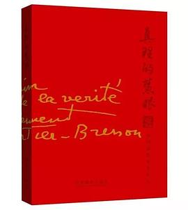 真理的慧眼 真理的慧眼