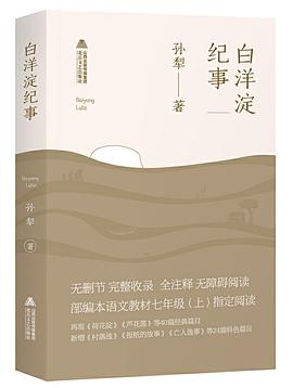 白洋淀紀事 白洋淀紀事
