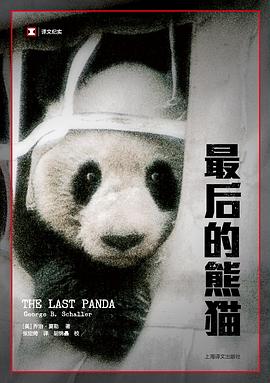 最后的熊貓 最后的熊貓