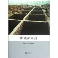 郾城郝家臺 郾城郝家臺