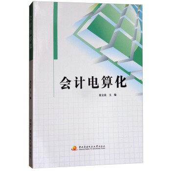 會計電算化