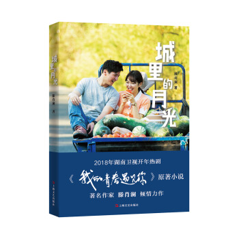 城里的月光 城里的月光