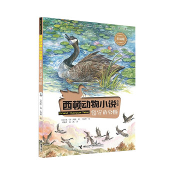 留守的公雁 留守的公雁
