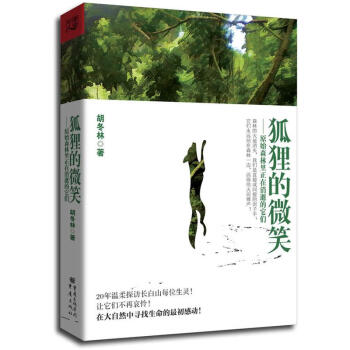 狐貍的微笑 狐貍的微笑